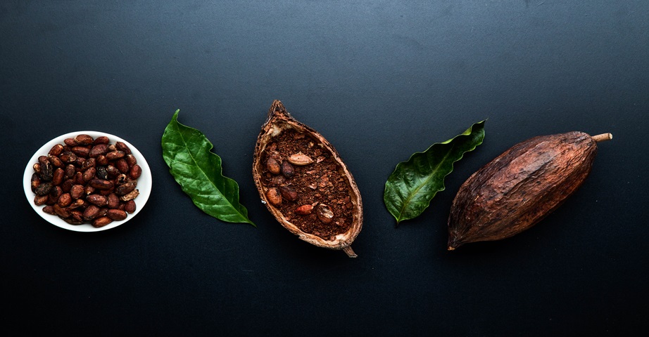 Ziarna kakaowca zawierają wiele cennych składników, które mogą wykazywać właściwości przeciwutleniające czy przeciwzapalne, a także mogą pozytywnie wpływać na proces odchudzania.