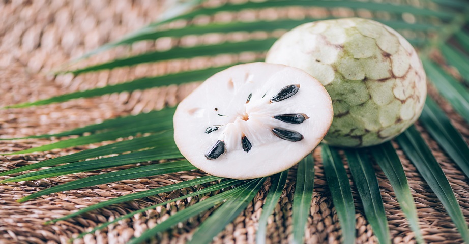 The soursop is a plant that can lower blood pressure and also be helpful in the treatment of type 2 diabetes. It is a tasty fruit with pro-health properties.