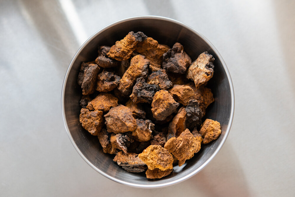 jak-dziala-grzyb-chaga