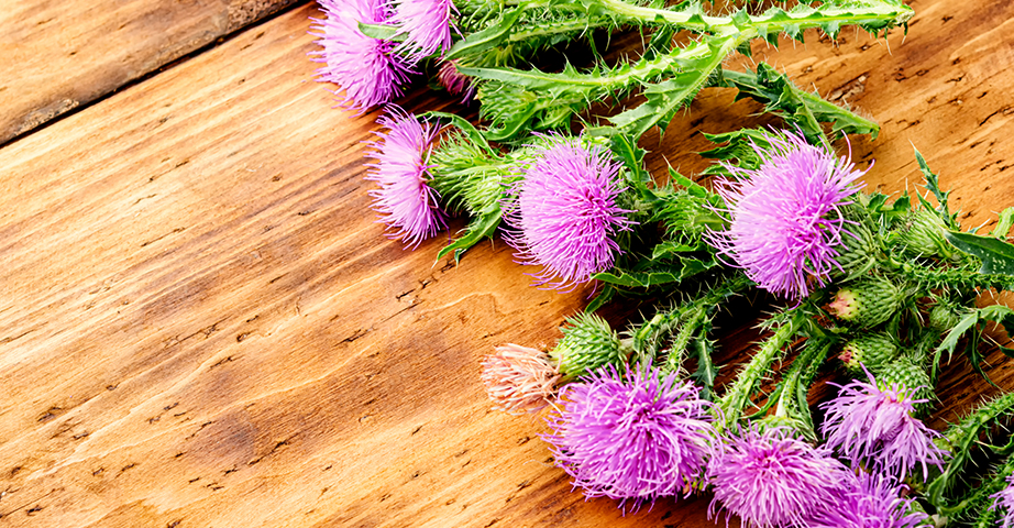 Other health-promoting effects of thistle