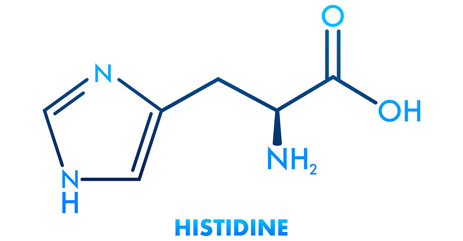 Histydyna może pozytywnie wpływać na regenerację po intensywnym wysiłku, a także wspierać funkcje odpornościowe.