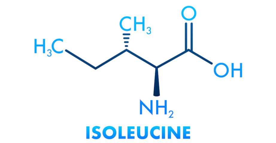 Izoleucyna to element składowy popularnych suplementów BCAA.