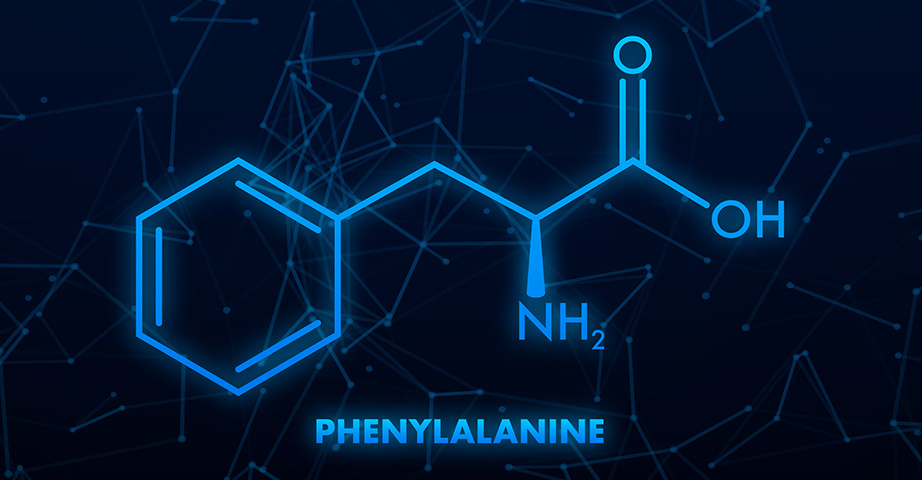 Fenyloalanina - organiczny związek, który może pozytywnie wpływać na funkcje poznawcze, buduje hormony i neuroprzekaźniki.