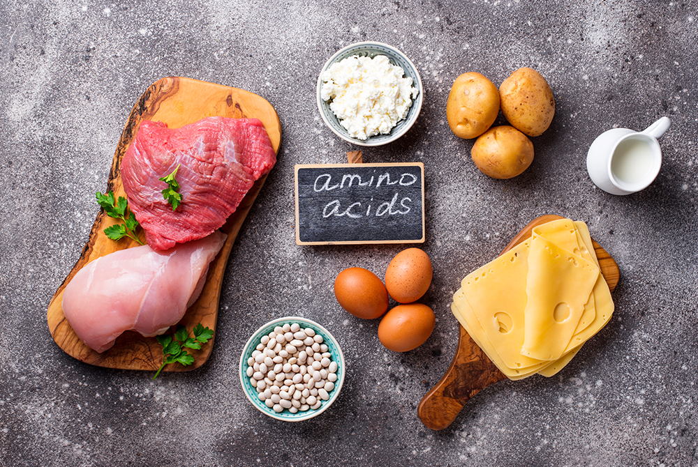 Die Bedeutung der Aminosäuren. Essentielle Aminosäuren, körpereigene Aminosäuren und BCAA