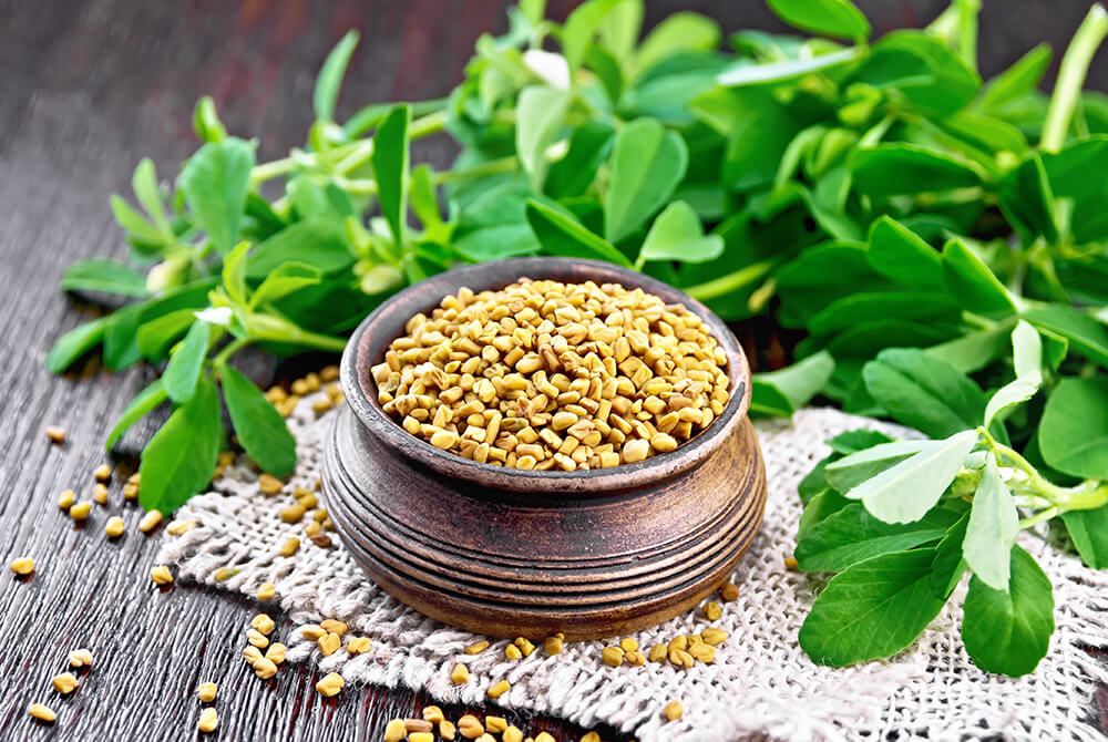 Fenugreek for diabetics, for hair and more. What does it help?