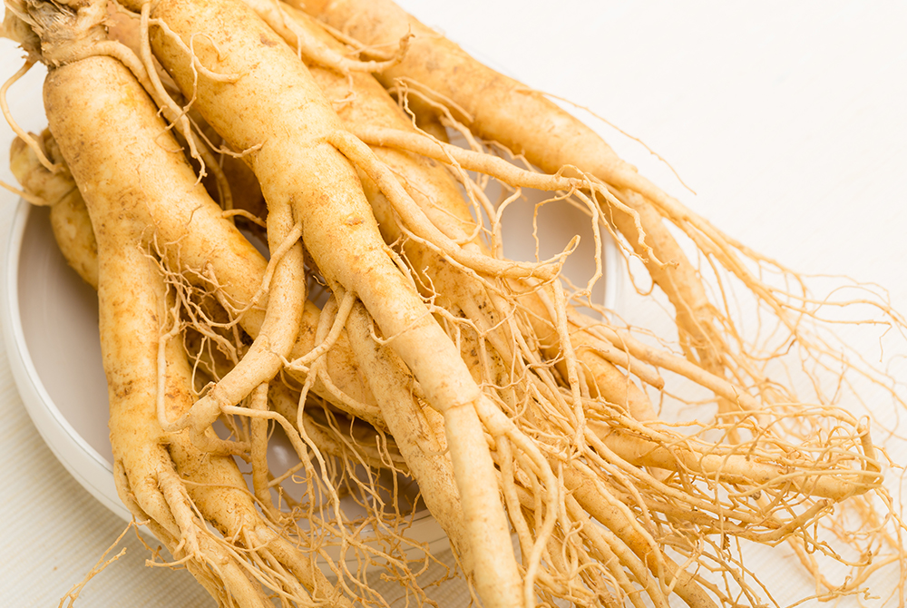 Ginseng and Siberian Ginseng properties effects OstroVit