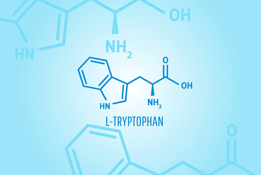 Does tryptophan improve mood and help you fall asleep?