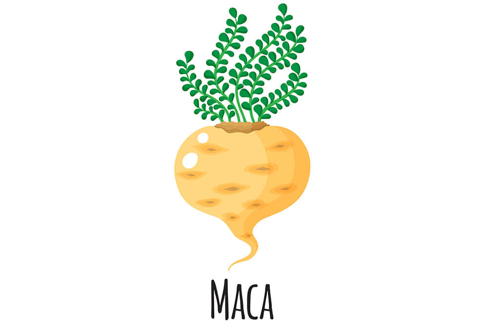 Maca Peruvian adaptogen and superfood combined OstroVit