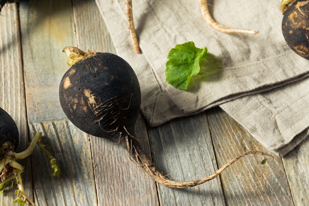 Black turnip - properties, purpose, side effects