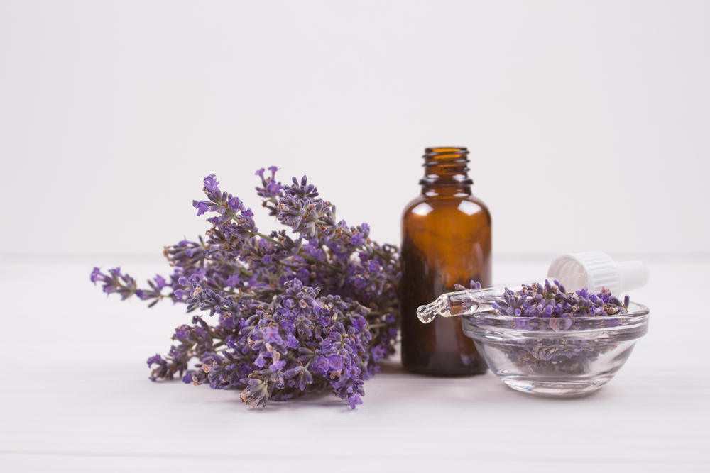 Lavender Oil: Properties, Uses, and Secrets That Will Surprise You!