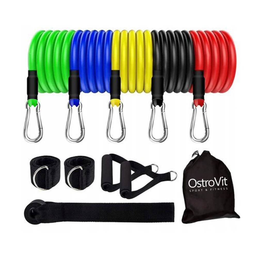 OstroVit Expander Training Bands Set (5 bands) - 8,77 € | Official store of  the manufacturer