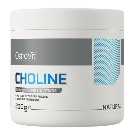 OstroVit Choline 200 g