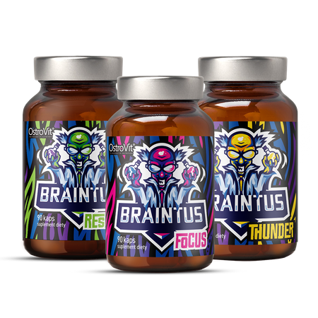OstroVit Braintus 3 x 90 capsules