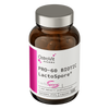 OstroVit Pharma PRO-60 BIOTIC LactoSpore® 60 capsules